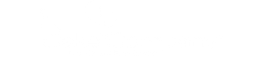 Scalezon Amazon Marketing Agentur